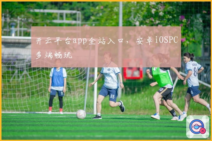 开云平台app全站入口，安卓iOSPC多端畅玩