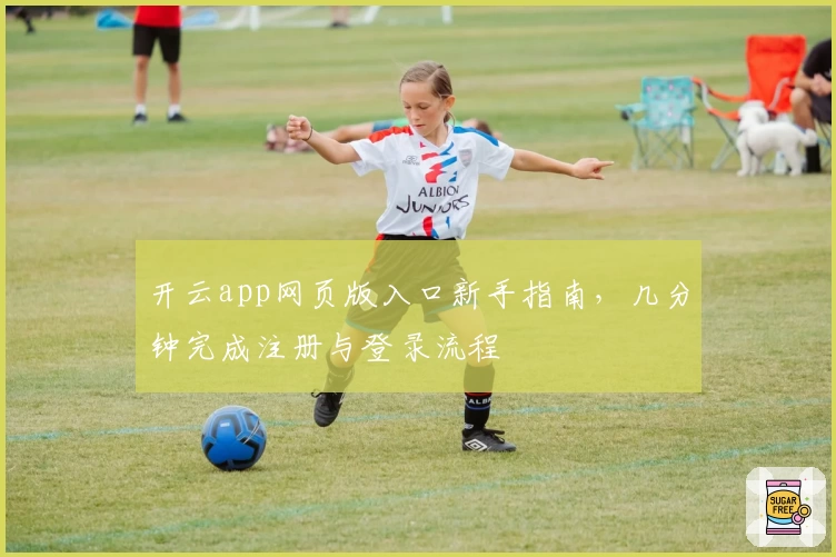 开云app网页版入口新手指南，几分钟完成注册与登录流程