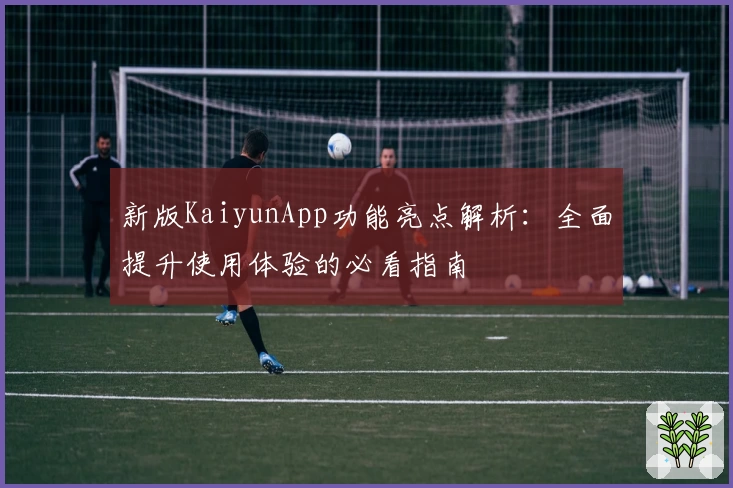 新版KaiyunApp功能亮点解析：全面提升使用体验的必看指南