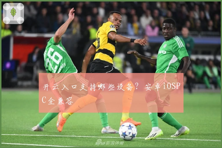 开云入口支持哪些设备？安卓iOSPC全兼容