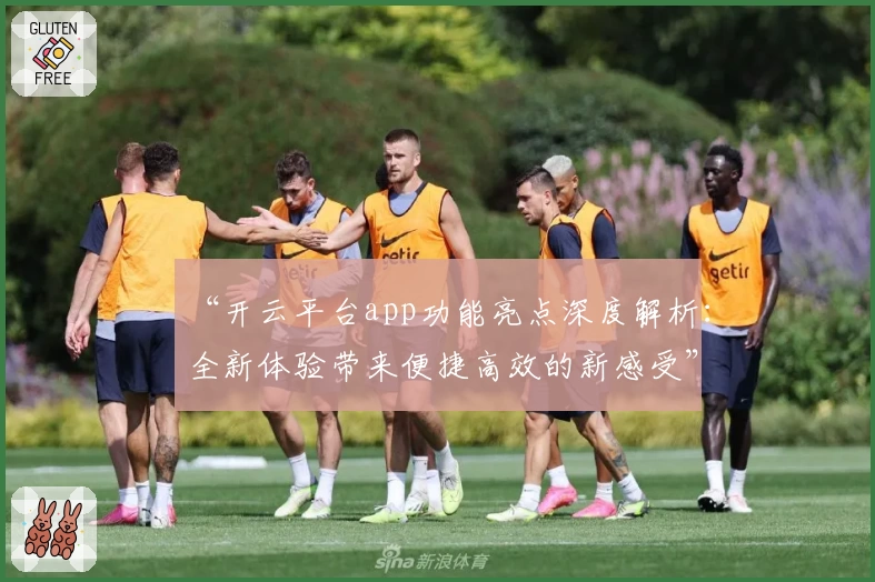 “开云平台app功能亮点深度解析：全新体验带来便捷高效的新感受”