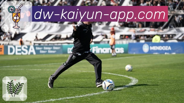 kaiyun App 展示图